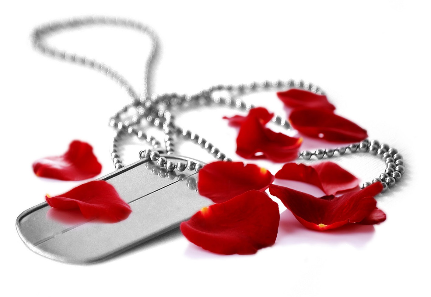 مادر شهید «امیر تهرانی» به فرزند شهیدش پیوست مادر شهید «امیر تهرانی» به فرزند شهیدش پیوست