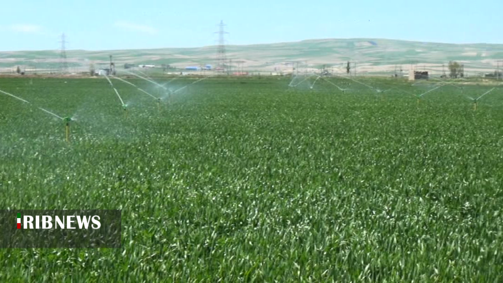 افزایش کیفیت و کمیت محصولات کشاورزی با آبیاری تحت فشار افزایش کیفیت و کمیت محصولات کشاورزی با آبیاری تحت فشار