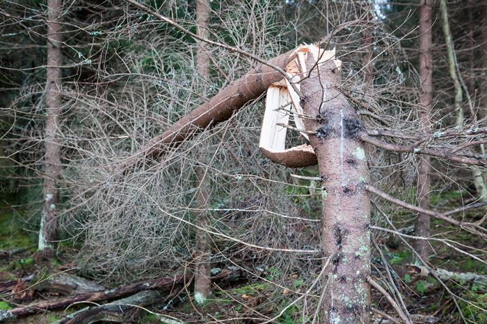 شکستن بال فرشتگان شکستن بال فرشتگان