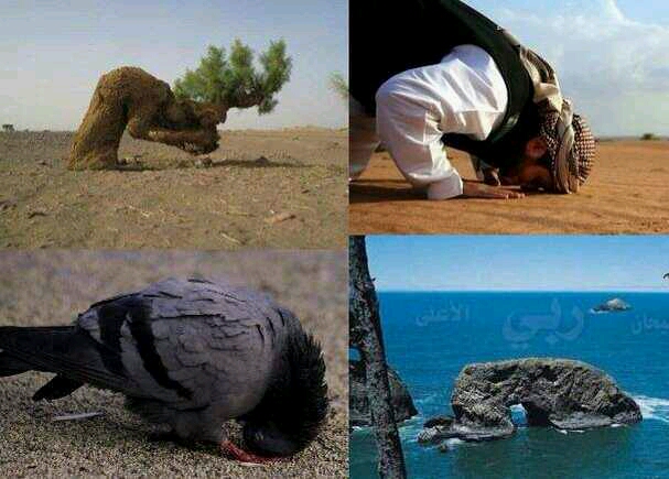 شکستن بال فرشتگان شکستن بال فرشتگان