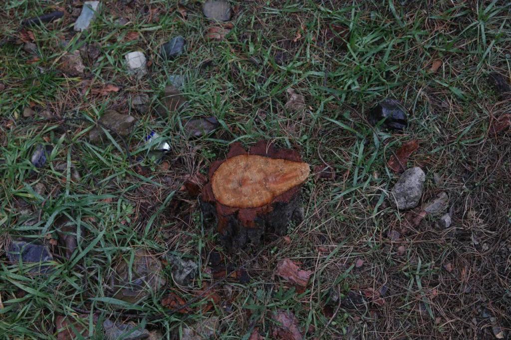 شکستن بال فرشتگان شکستن بال فرشتگان