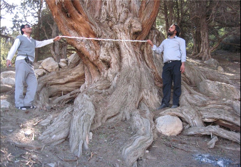 شکستن بال فرشتگان شکستن بال فرشتگان