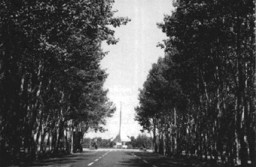 شکستن بال فرشتگان