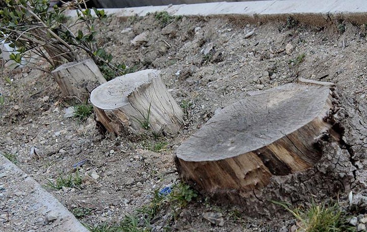 شکستن بال فرشتگان شکستن بال فرشتگان