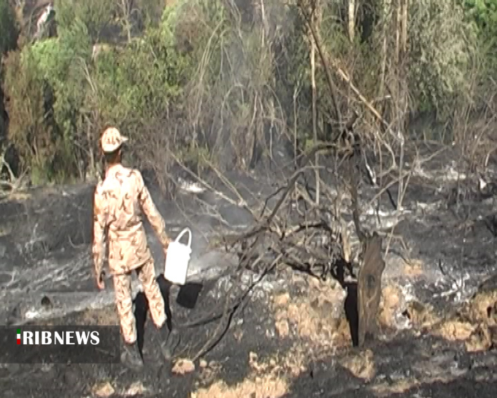 مهار آتش سوزی باغات قدیمی سامان + فیلم