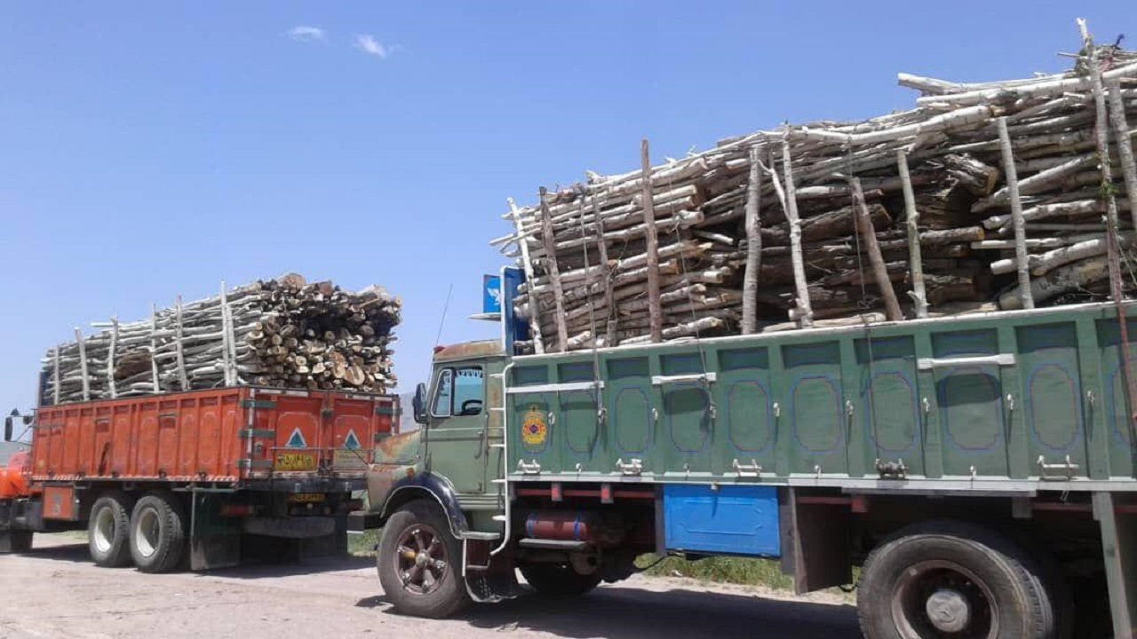 کشف ۱۶ تن چوب قاچاق در تاکستان