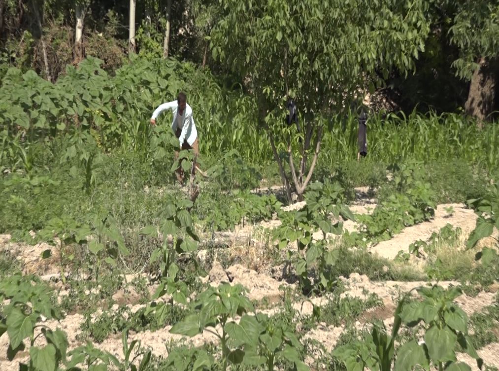 از عمران و ابادانی تا تخریب و بهسازی