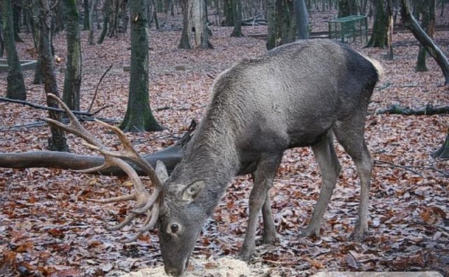 ساری وسیع‌ترین شهرستان استان مازندران