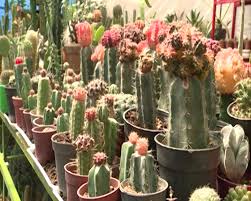 مشاغل خانگی، نسخه&zwnj;ای برای التیام درد بیکاری