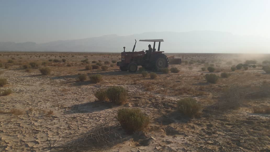 پاکسازی تلههای زندهگیری هوبره در منطقه حفاظت شده مُند پاکسازی تلههای زندهگیری هوبره در منطقه حفاظت شده مُند