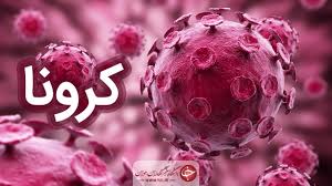 جان باختن دوازده هم استانی دیگر به علت ابتلا به کرونا