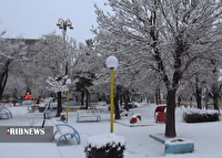 آغاز بارش برف در اردبیل و برخی از شهرستان ها