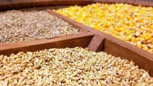 تامین بیش از ۱۱ هزار تن نهاده دامی برای عشایر