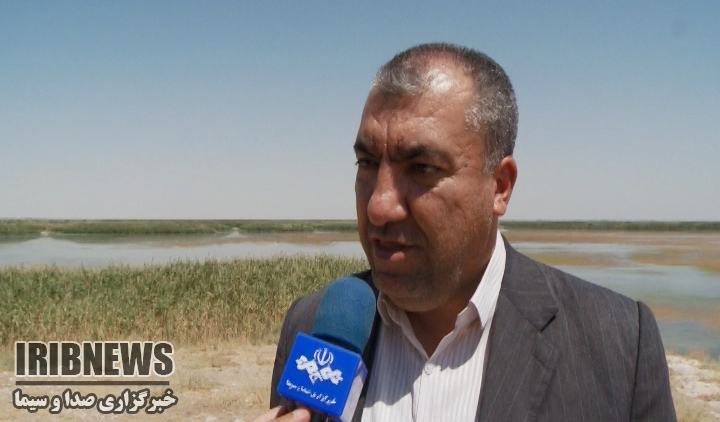 آوای خوش زندگی در دل تالاب کانی برازان آوای خوش زندگی در دل تالاب کانی برازان