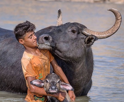 لبخند آب بر سرزمین داغ + فیلم لبخند آب بر سرزمین داغ + فیلم