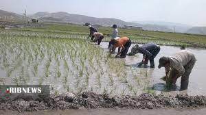 زخم هایی که التیامشان به هورالعظیم جان می دهند زخم هایی که التیامشان به هورالعظیم جان می دهند