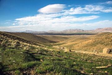 سیلی سرخ آتش سهل انگاری، دامن گیر ثروت ملی