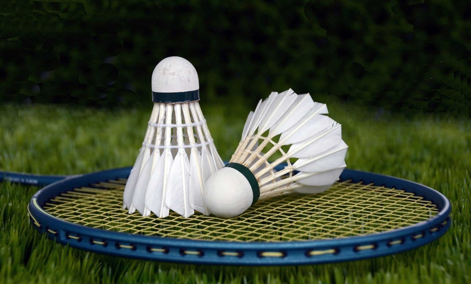 مسابقات ورزشی بیماران تالاسمی کشور میزبان ورزشکاران خوزستانی مسابقات ورزشی بیماران تالاسمی کشور میزبان ورزشکاران خوزستانی