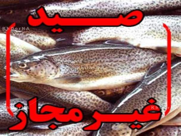 دستگیری متخلفان صید غیر مجاز ماهی در رودخانه کرخه