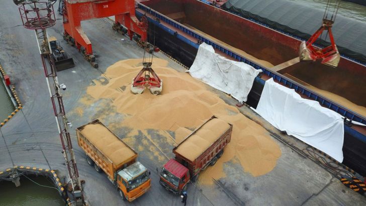 نهاده دامی، سوغات کشتیهای برزیلی در بندر امام خمینی نهاده دامی، سوغات کشتیهای برزیلی در بندر امام خمینی