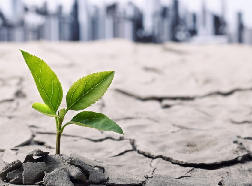 چطور تابآوری را یاد بگیریم؟ چطور تابآوری را یاد بگیریم؟