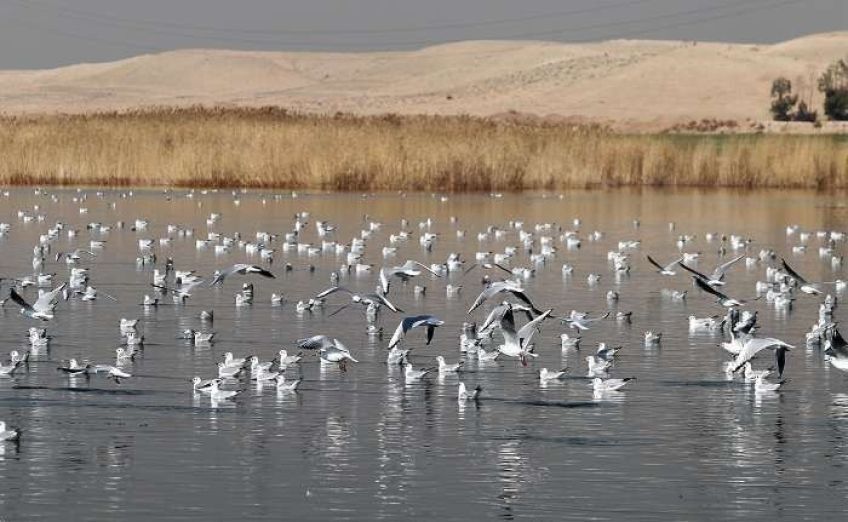 تالاب های تهران در انتظار تامین حقابه