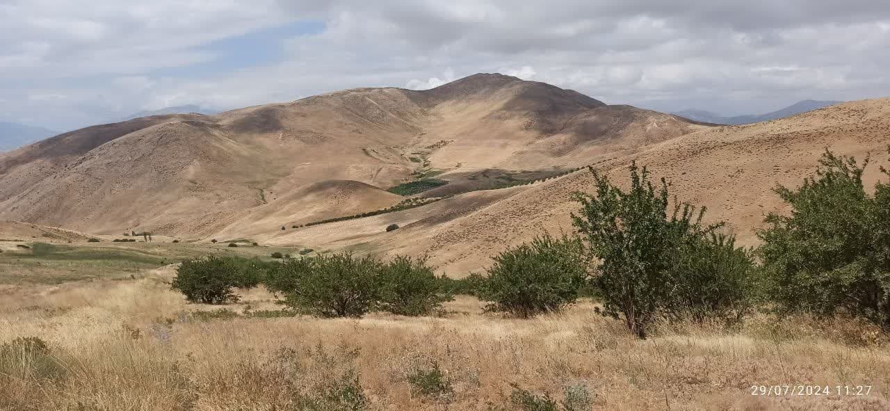 رفع تصرف ۵۳ هکتار از اراضی ملی اشنویه رفع تصرف ۵۳ هکتار از اراضی ملی اشنویه