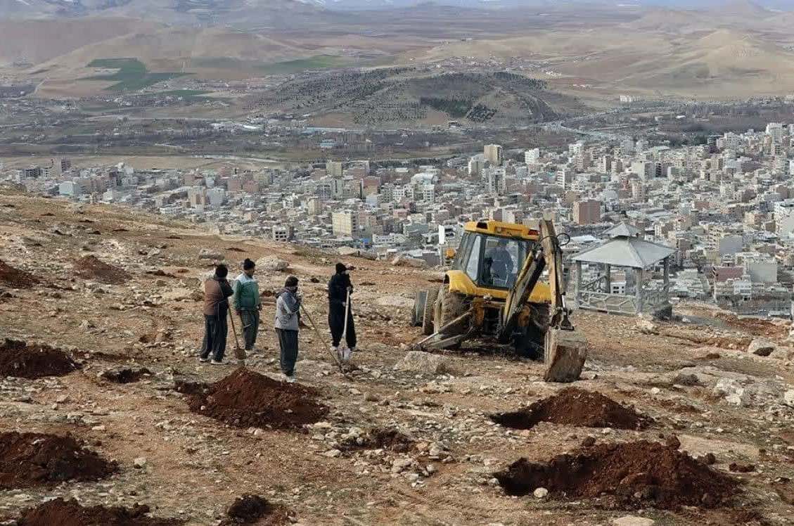 مطالعات طرح جامع جنگل کاری نالشکینه بوکان مطالعات طرح جامع جنگل کاری نالشکینه بوکان