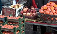 برگزاری هفتمین جشنواره خرمالوی کن