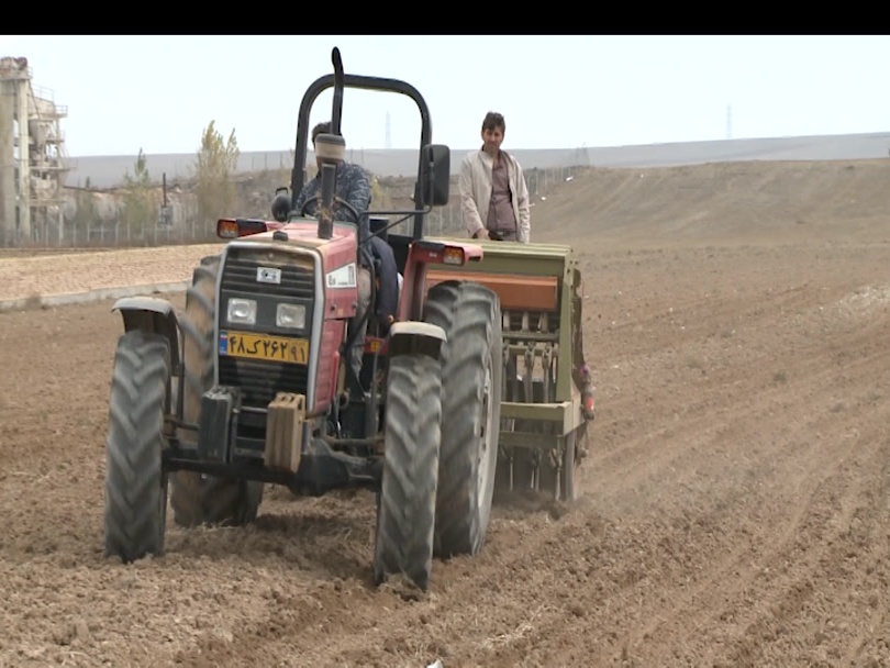 مشارکت ۱۳۰ هزار بهره‌بردار استان اردبیل در طرح جهش تولید دیمزار‌ها