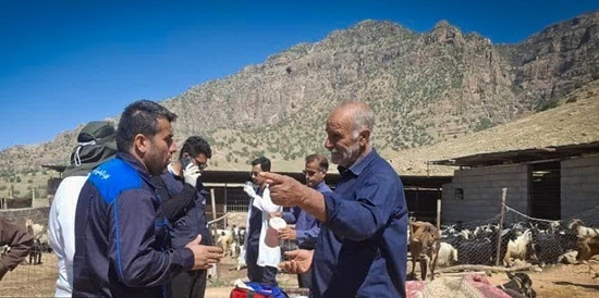 ارائه خدمات دامپزشکی در مناطق محروم مسجدسلیمان و اندیکا