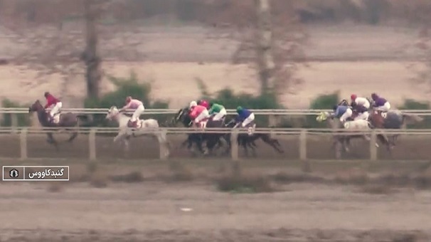 معرفی چابکسواران برنده در رقابتهای روز دوم هفته هشتم کورس سوارکاری معرفی چابکسواران برنده در رقابتهای روز دوم هفته هشتم کورس سوارکاری