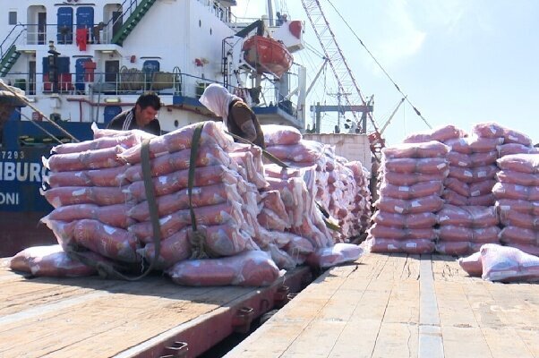 آغاز فرایند تخلیه هزار تن برنج وارداتی در بندر سجافی هندیجان