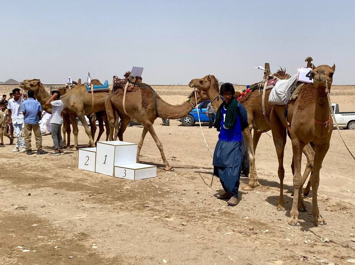 پیشتازی ورزشکاران سیستان و بلوچستان در مسابقات شتردوانی کشور