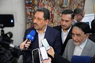 تعیین قیمت خودرو با نظر شورای رقابت و سازمان حمایت