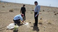 بردسکن پیشگام در واگذاری زمین برای نیروگاه خورشیدی  