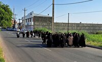 پیاده روی بانوان شهرستان پلدشت