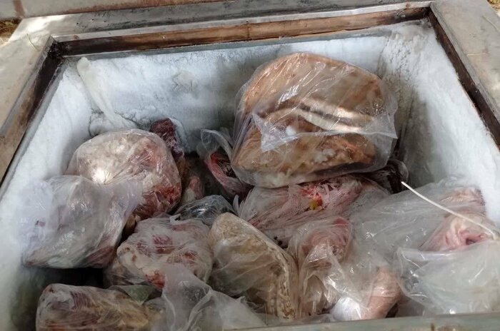 کشف لاشه گراز و الاغ با همکاری محیط زیست کرمان و هرمزگان