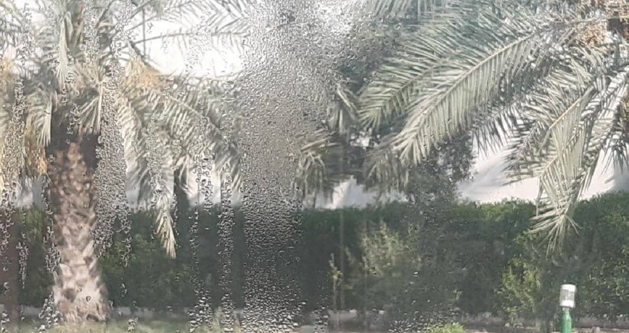 نم و شرجی همچنان میهمان مردم جنوب غرب خوزستان نم و شرجی همچنان میهمان مردم جنوب غرب خوزستان