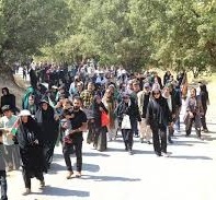 برگزاری همایش پیاده روی خانوادگی بزرگداشت آزادگان سرافراز در یاسوج برگزاری همایش پیاده روی خانوادگی بزرگداشت آزادگان سرافراز در یاسوج