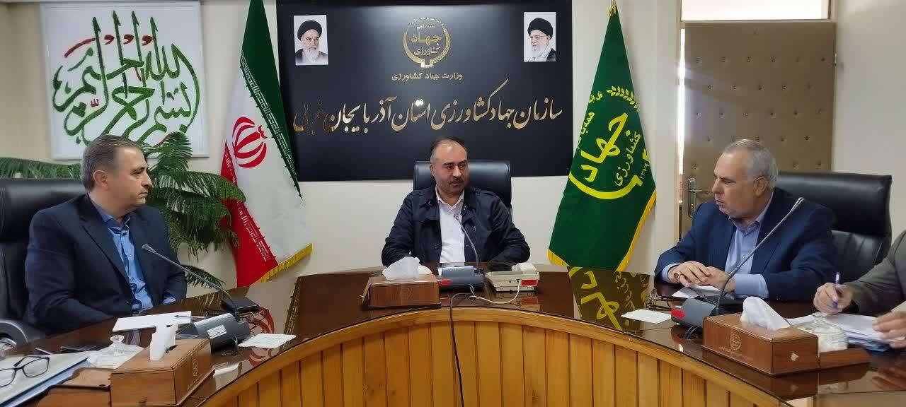 طرح رشد تولید در دامداری‌های روستایی در آذربایجان‌غربی اجرا می‌شود