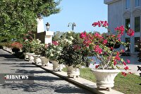 افزایش یک تا دو درجه‌ای دما در بیشتر مناطق هرمزگان، ۱ آبان