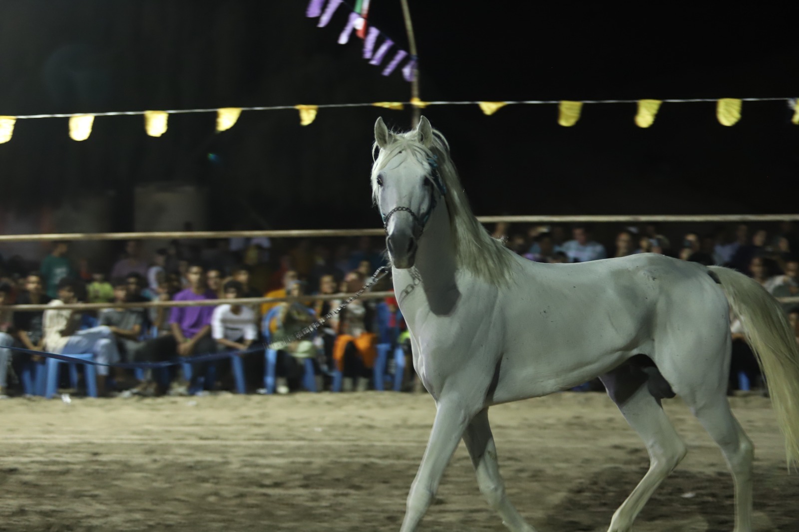 برگزاری دومین جشنواره زیبایی اسب در رودان برگزاری دومین جشنواره زیبایی اسب در رودان