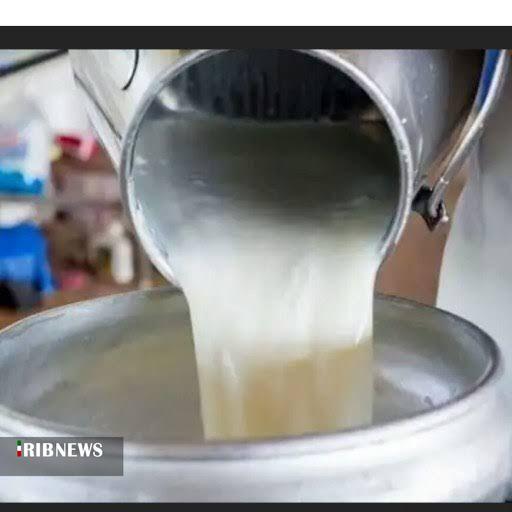 ارسال ۱۵ هزار تن شیر خام از خراسان شمالی به استانهای دیگر ارسال ۱۵ هزار تن شیر خام از خراسان شمالی به استانهای دیگر