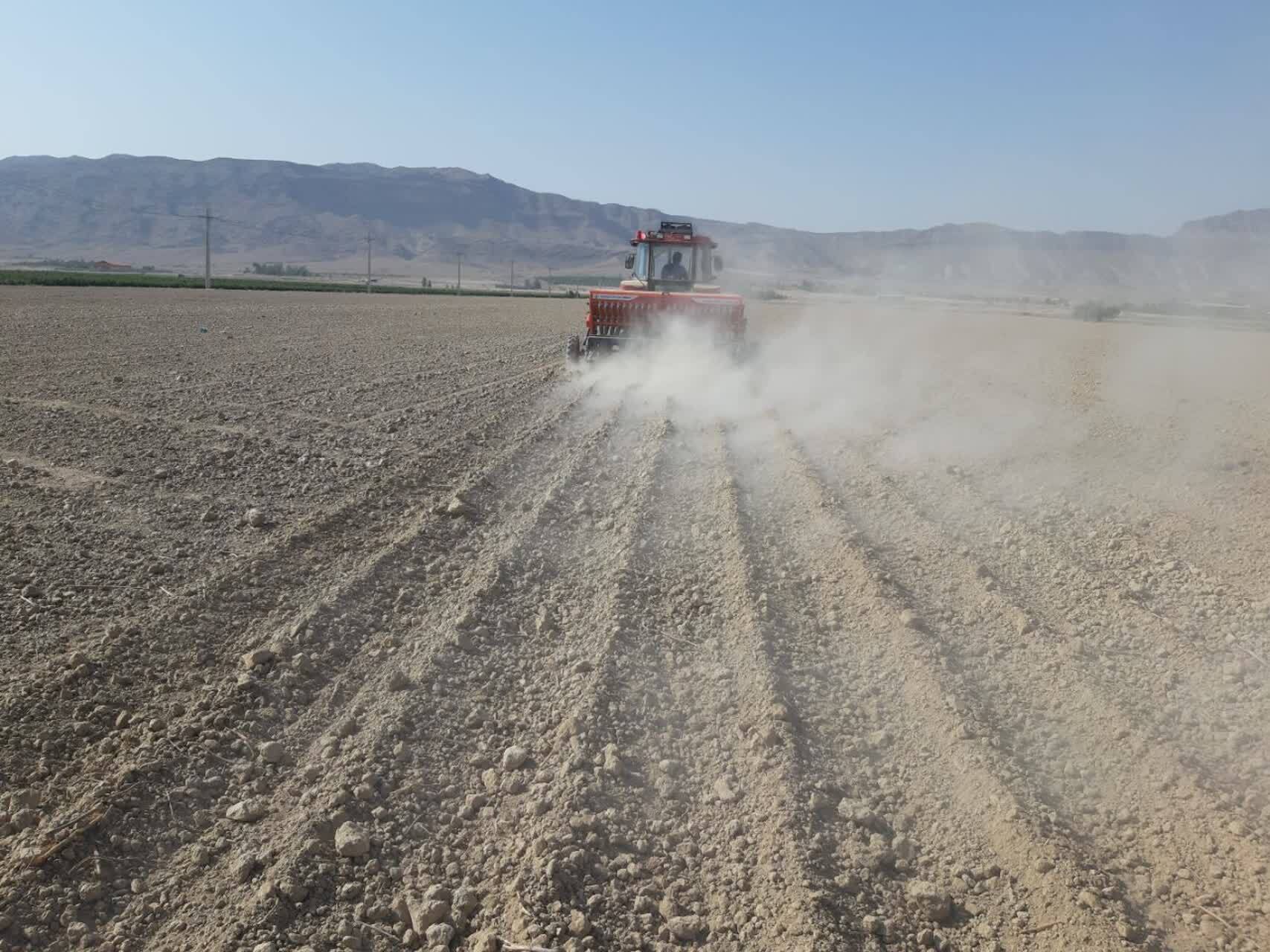 آغاز کشت گندم از زمینهای زرین دشت آغاز کشت گندم از زمینهای زرین دشت