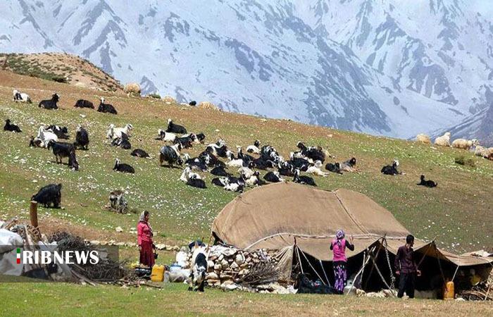 توزیع ۲۳ هزار تُن نهاده دامی بین عشایر لرستان توزیع ۲۳ هزار تُن نهاده دامی بین عشایر لرستان