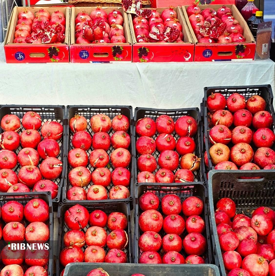 تلاش برای ثبت جشنواره انار شیراز در تقویم گردشگری