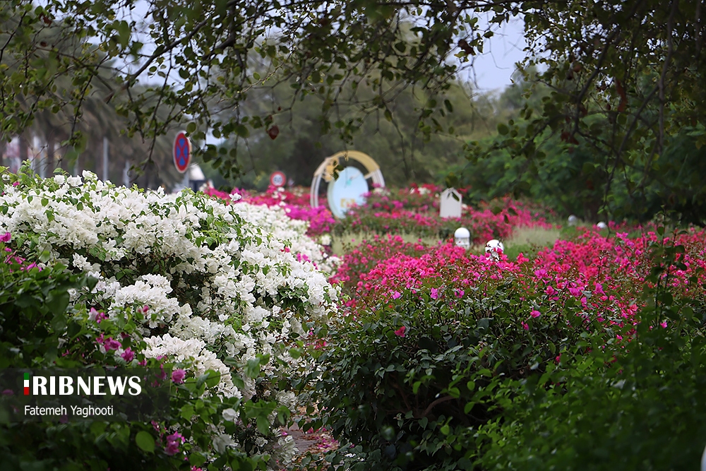 شرایط جوی نسبتا آرام در بیشتر نقاط هرمزگان، ۳ آبان