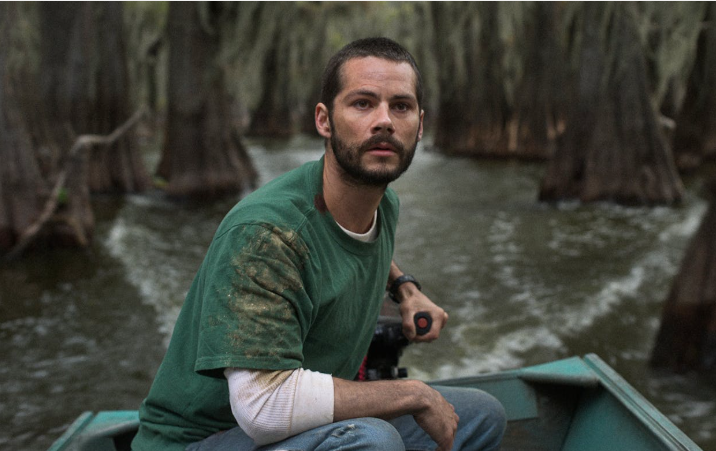 پخش فیلم و سریال از شبکه های تماشا و نمایش پخش فیلم و سریال از شبکه های تماشا و نمایش