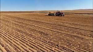 نبود بارش‌ها و تأخیر در کشت‌های پاییزه چهارمحال و بختیاری